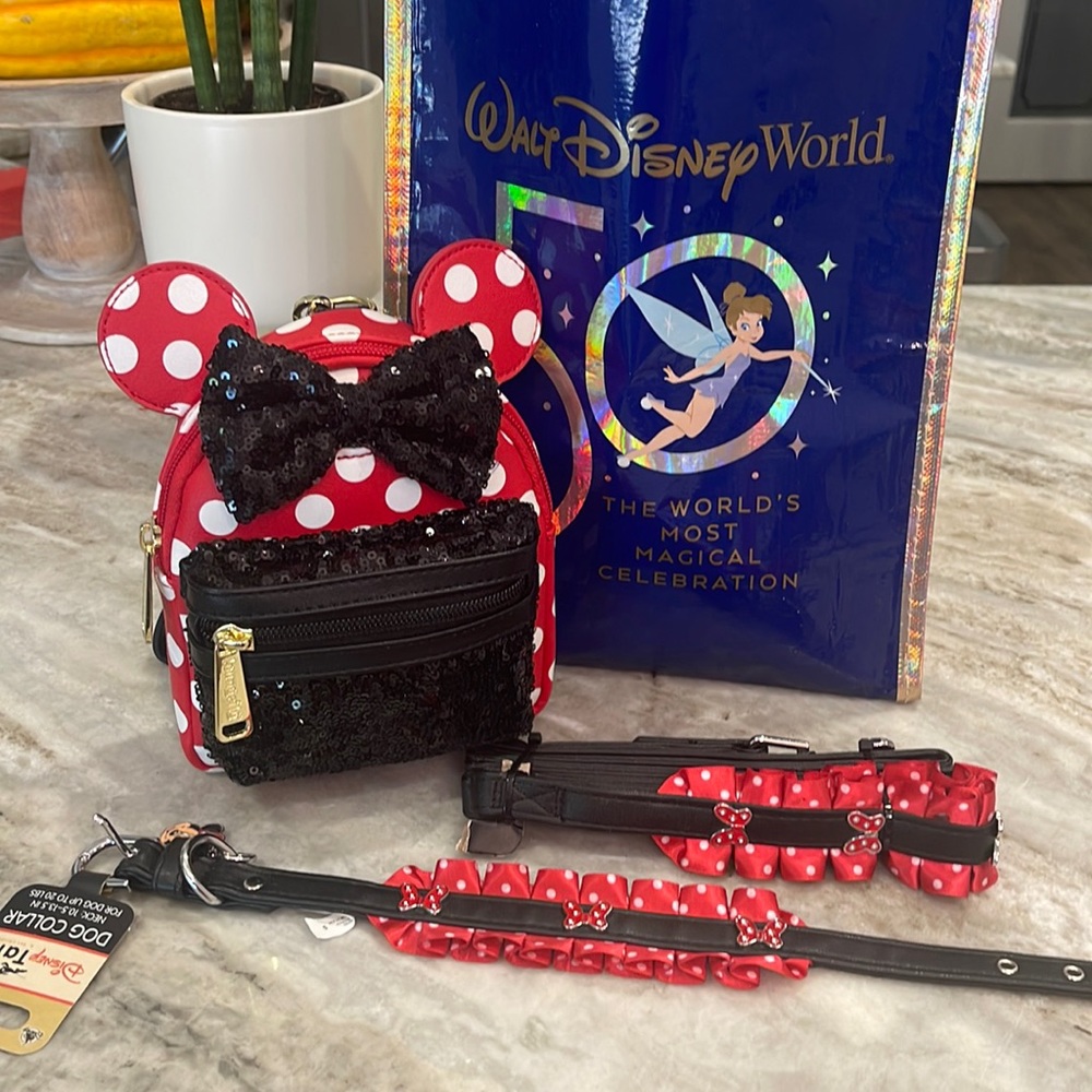 Disney Minnie Mouse purse bundle